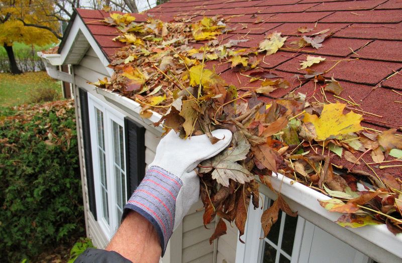 Seasonal Gutter Service